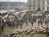 Old Ireland in Colour 2; John Breslin & Sarah-Anne Buckley
