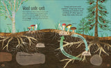 The Magic & Mystery of Trees; Jen Green